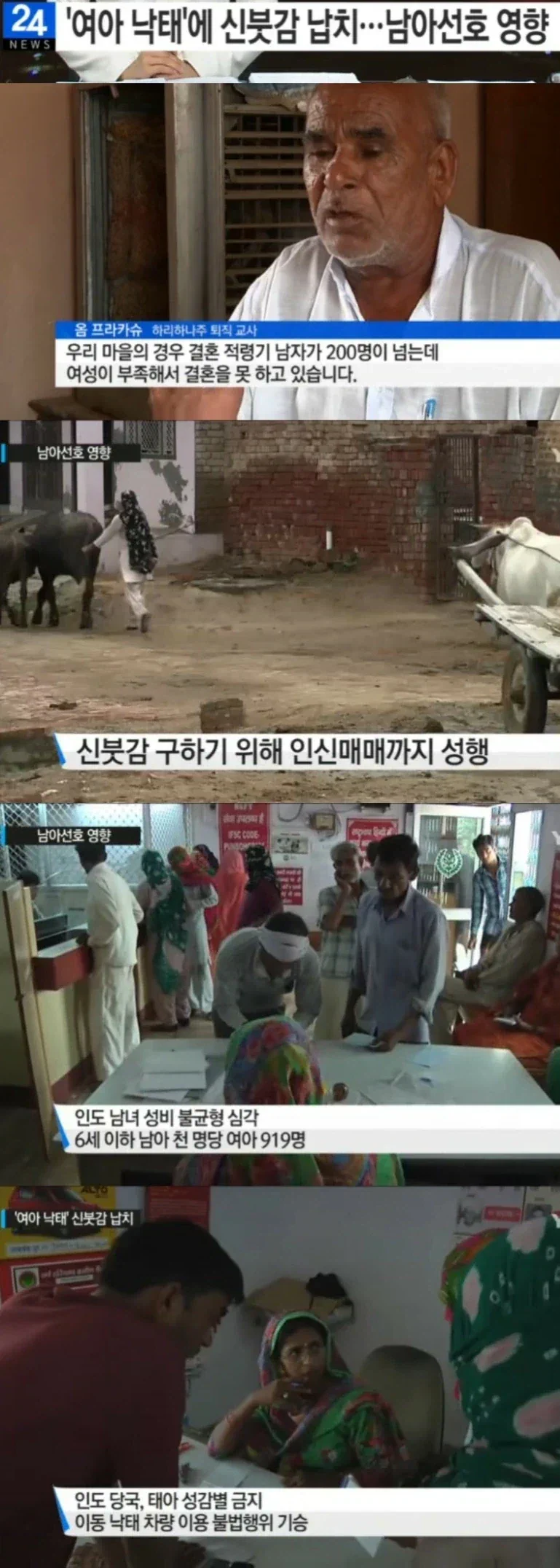 인도의 여아낙태 열풍으로 인한 부작용.jpg