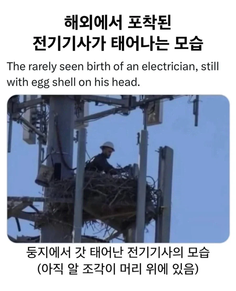 정가람, 미술관에서 포착된 사색적인 모습… 검은 코트와 단발머리로 지적인 분…