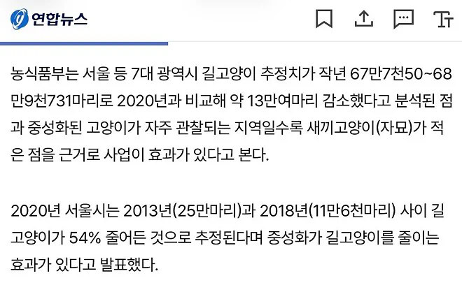 길냥이도 집냥이도 반토막? 고양이에게 대체 무슨 일이? ????