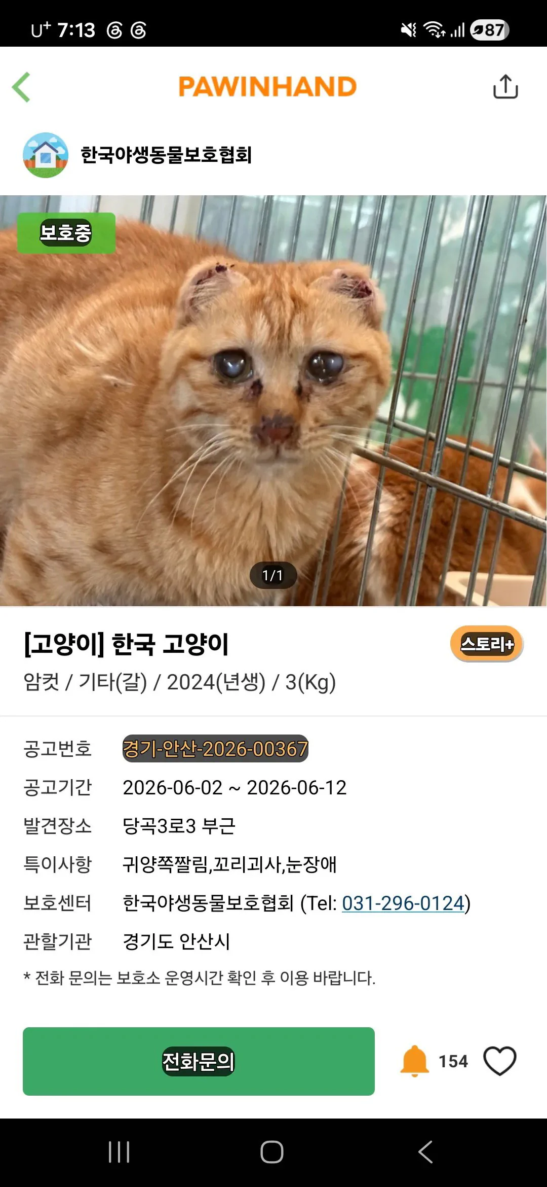 포인핸드에 올라온 귀가 짤린 고양이
