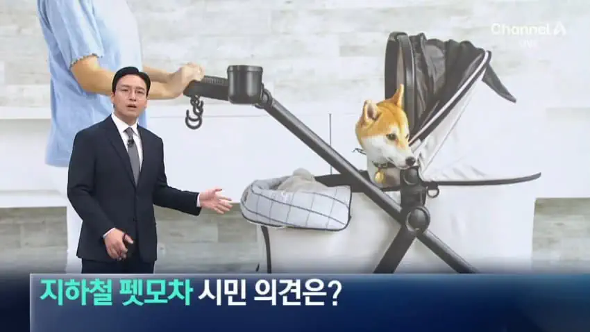지하철 펫모차 탑승 어떻게 생각하세요?