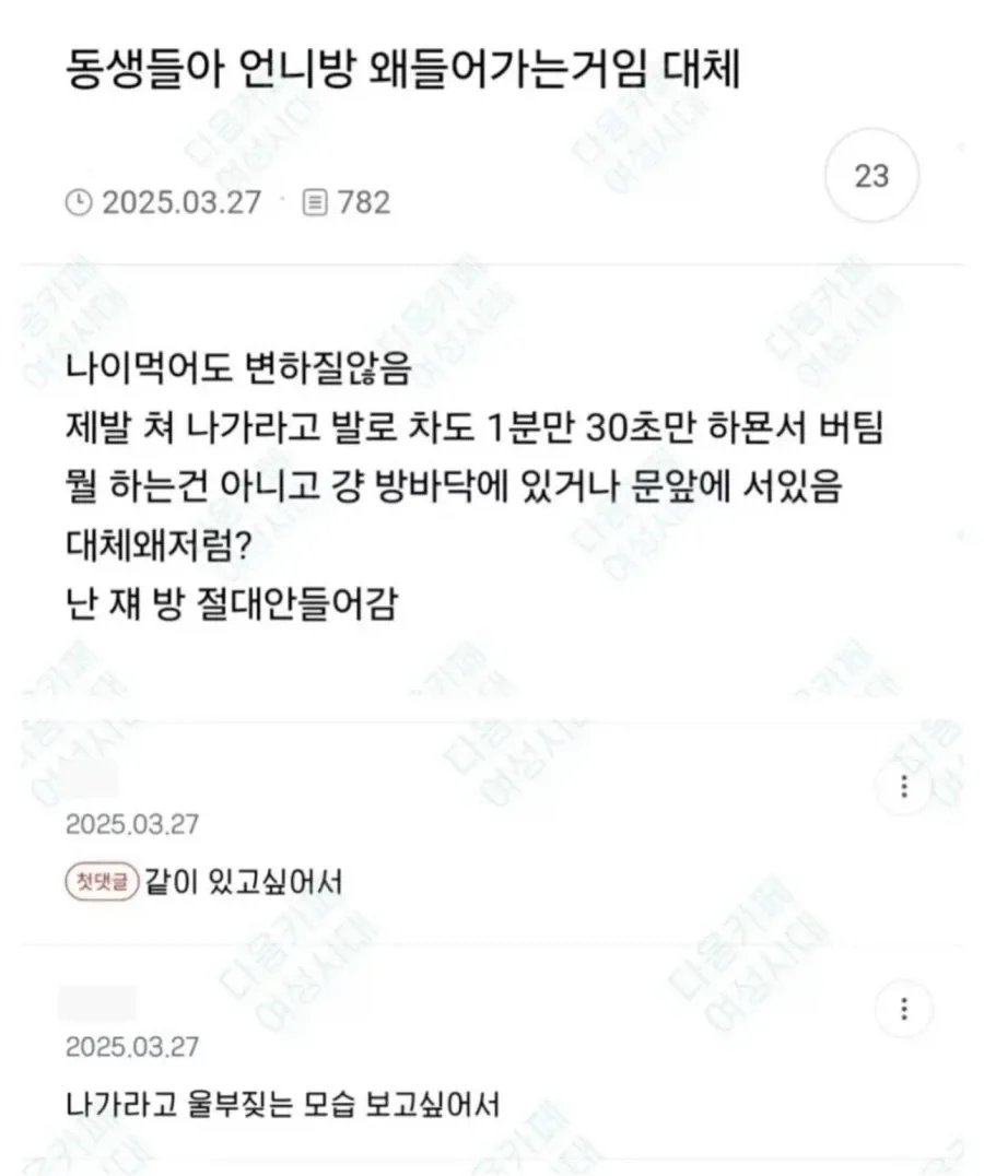 동생들아 언니방에 왜들어가는거임 대체