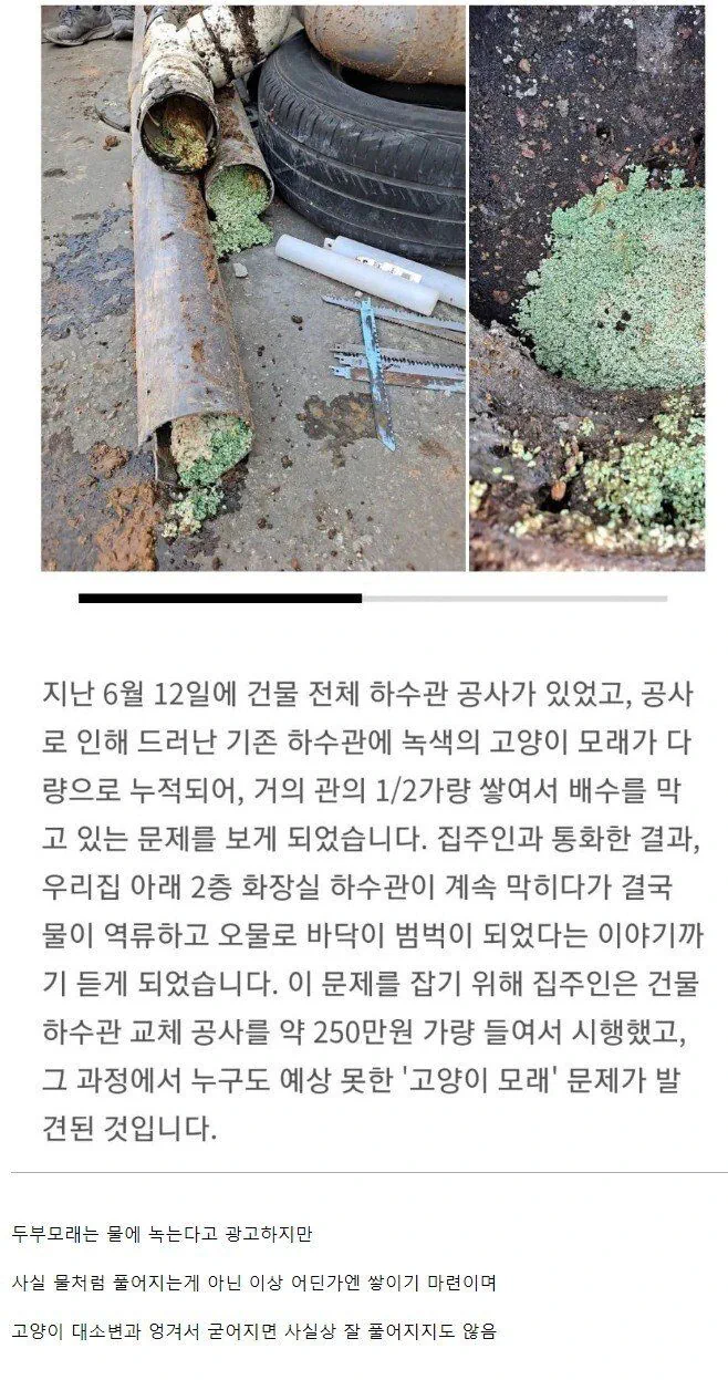고양이 모래를 변기에 버리면 벌어지는 일 ㅅㅂ