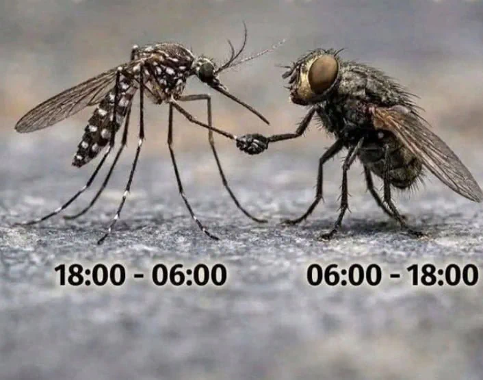 6~8월 3개월간 주야 2교대 근무 극적인 합의.jpg