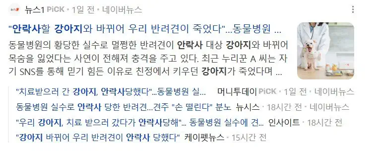 약 처방 받으러 갔다가 수의사 착각에 안락사 당한 반려견