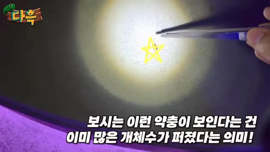 러브버그 실시간 지도 확인 방법 | 서울 경기 인천 출몰 지역 현황 | 대처…
