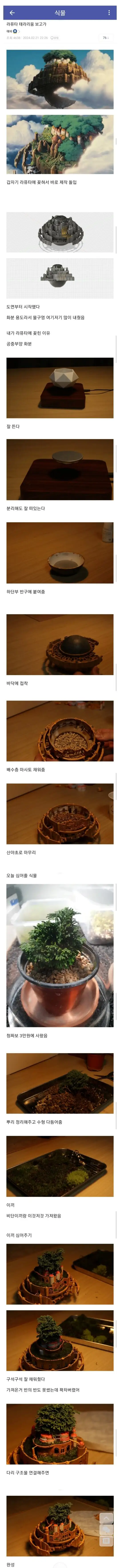 포도가 맛있었던 식물갤러의 포도 번식 후기