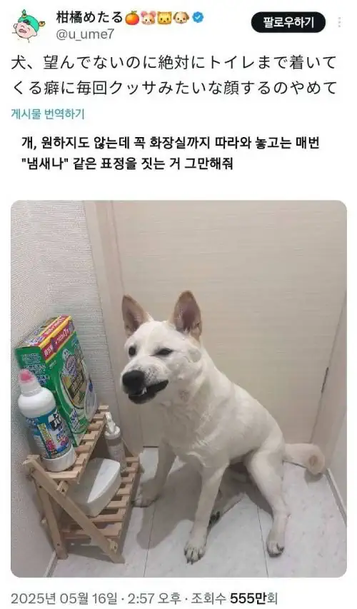 원하지도 않는데 꼭 화장실까지 따라와 놓고는.twt