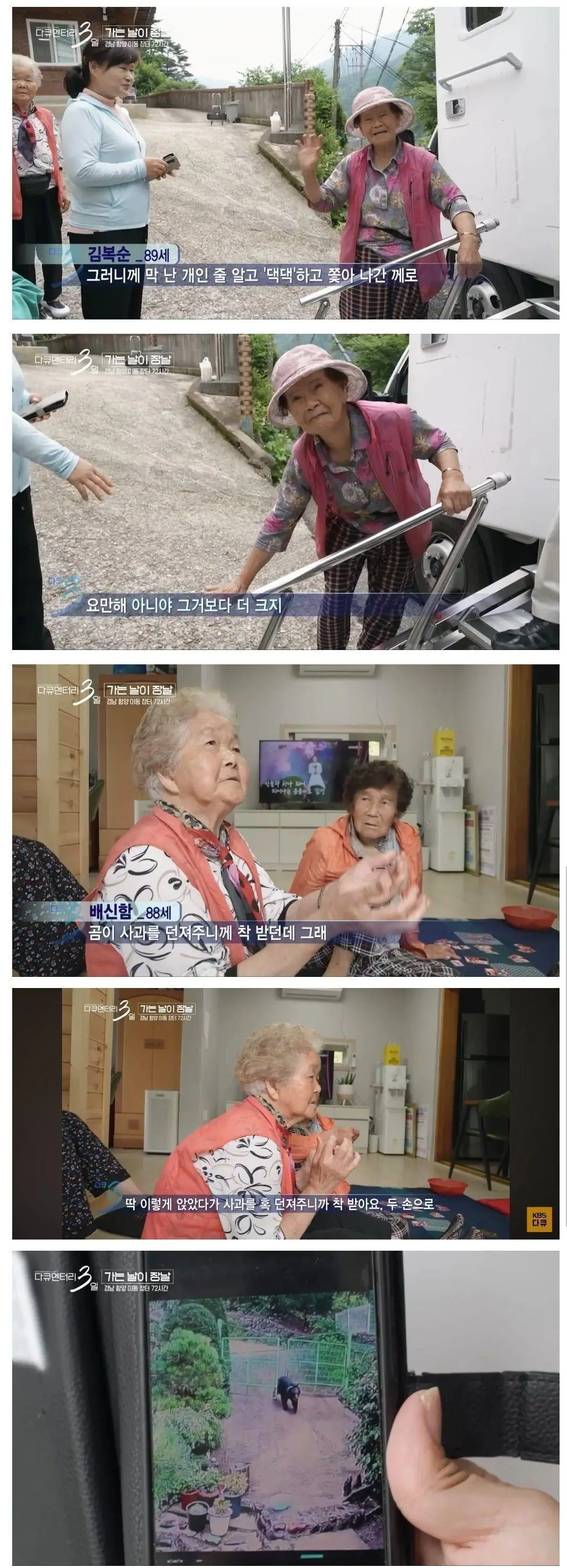 곰 만난 썰 푸는 할머니