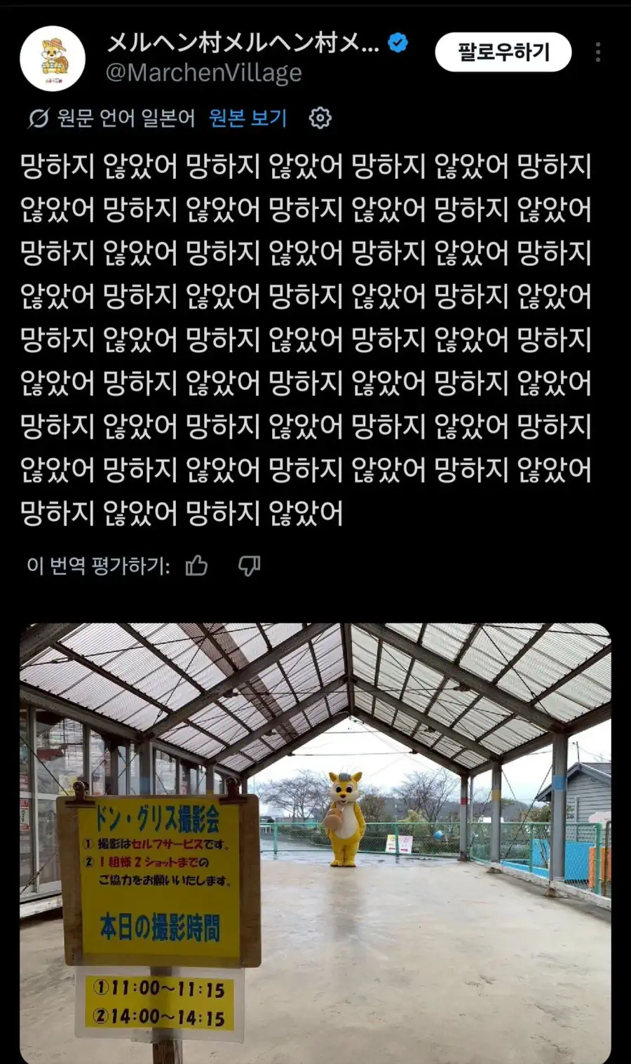 교토 CD가게: 태풍이 와도 정상영업합니다