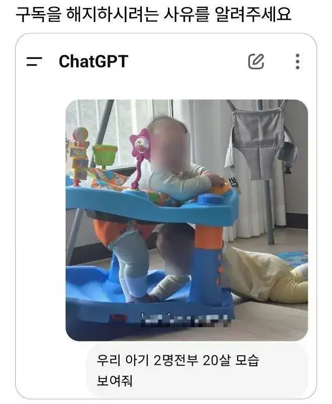챗지피티 구독해지 사유...JPG