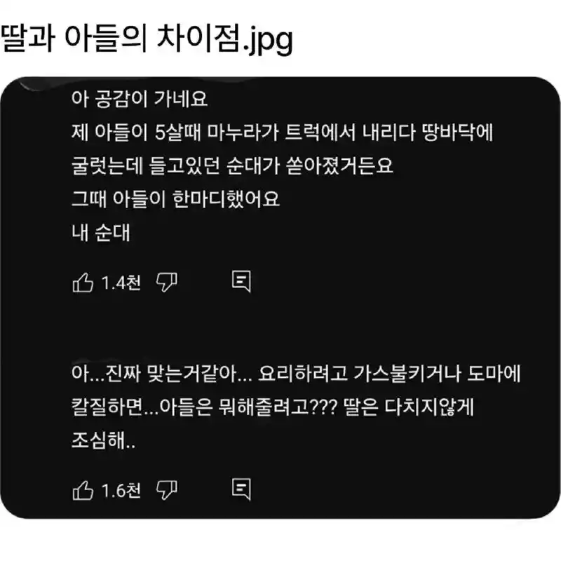 딸과 아들의 차이점.jpg
