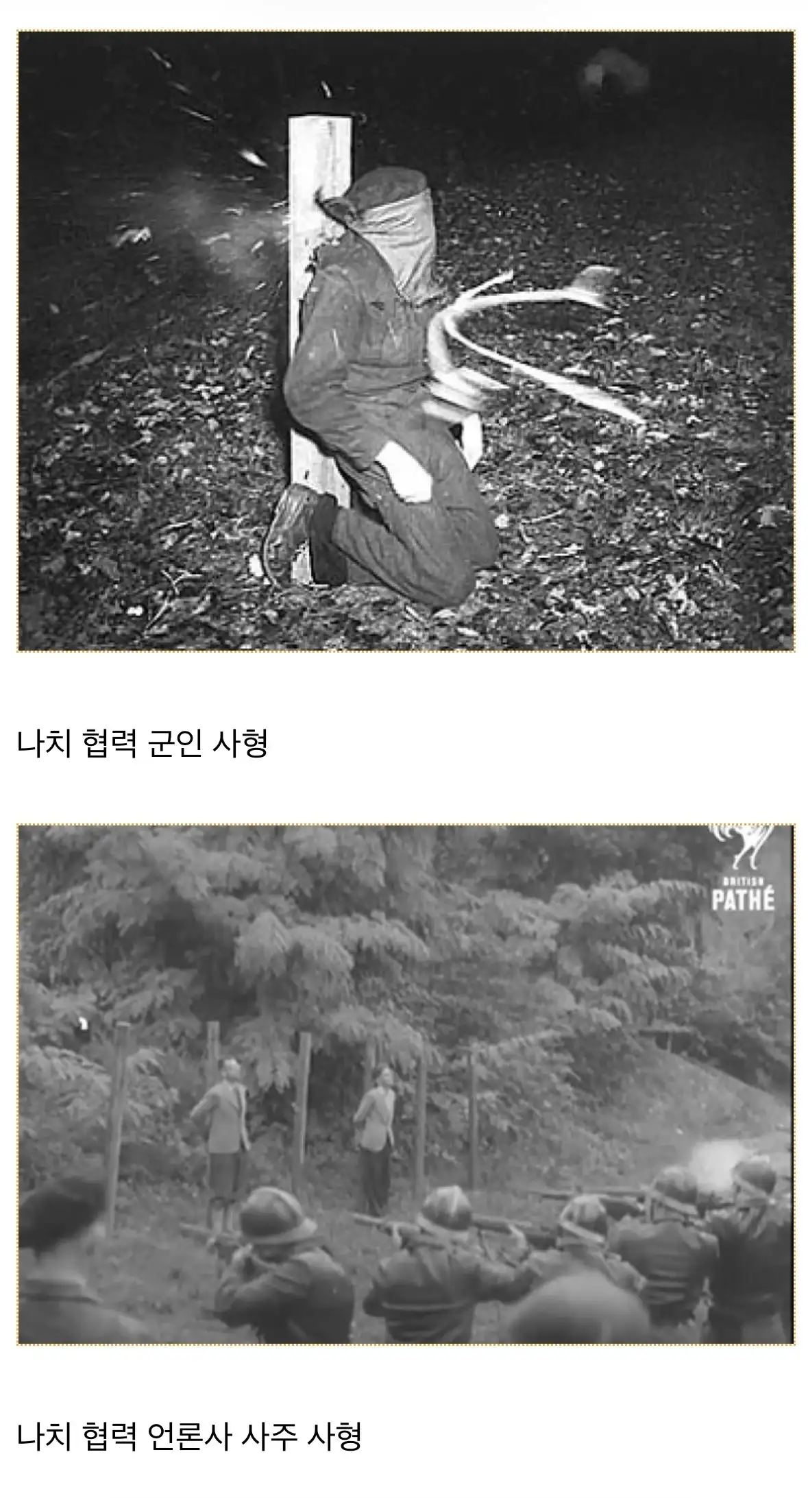 프랑스의 민족반역자
