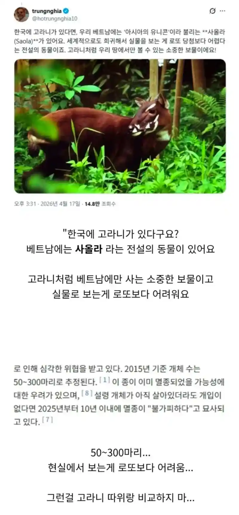 ? : 우리 베트남에도 한국의 고라니 같은 거 있어요~!