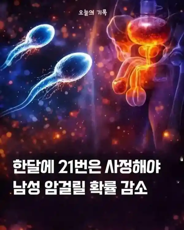 한달에 최소 21번 사정해야 전립선암 예방된다