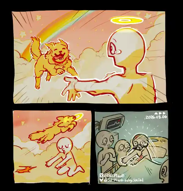 펌)무지개 다리