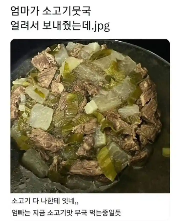엄마가 소고기뭇국 얼려서 보내줬는데.jpg ㅜㅜ