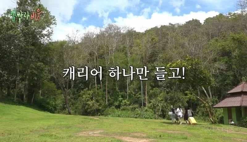 밥친구 하기 좋다고 슬슬 반응오는 새 예능 (지락실, 혜리미예채파 좋아하면…