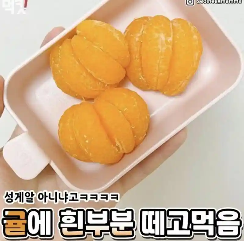 편식 심한 사람들 특징