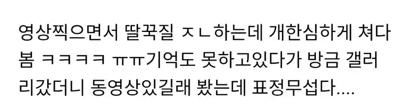 어제 술취해서 기억안나는데ㅋ 강아지들이 경멸스럽게 쳐다보네ㅠㅋ