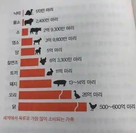 세계적으로 많이 먹는 고기