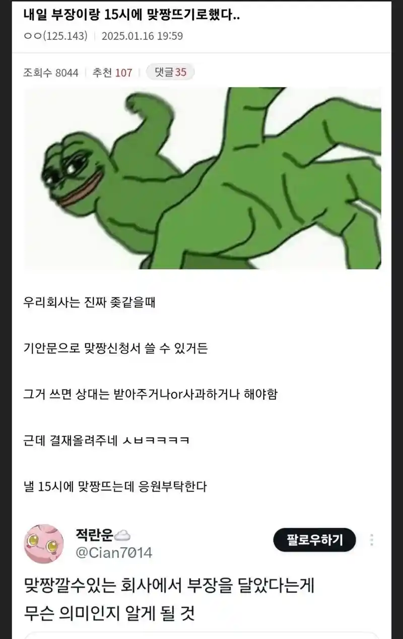 회사에서 부장이랑 맞짱뜨기로함