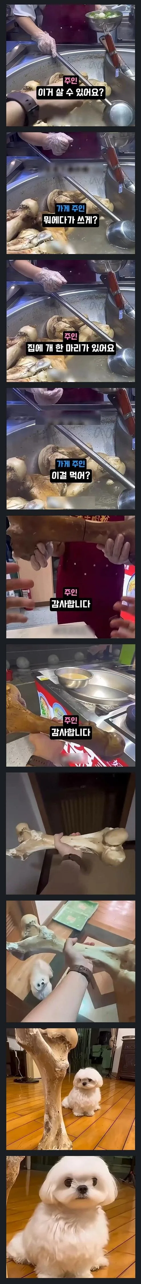 Pic) 강아지에게 줄 뼈다귀를 구하는 사람