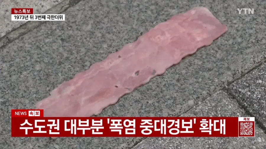 요즘 계란값이 엄청나게 비싸다는 증거