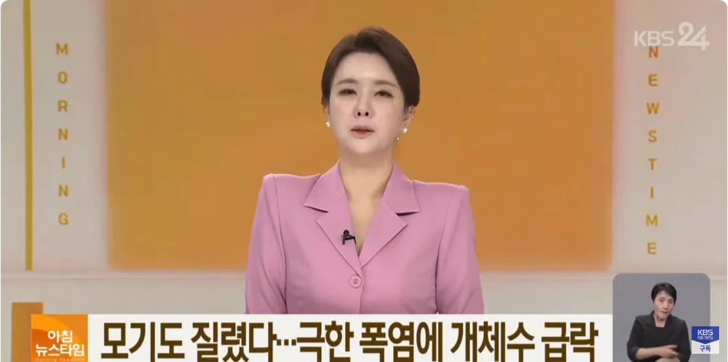 모기방역 전처럼 안해도 폭염에 개체수 눈에 띄게 감소중