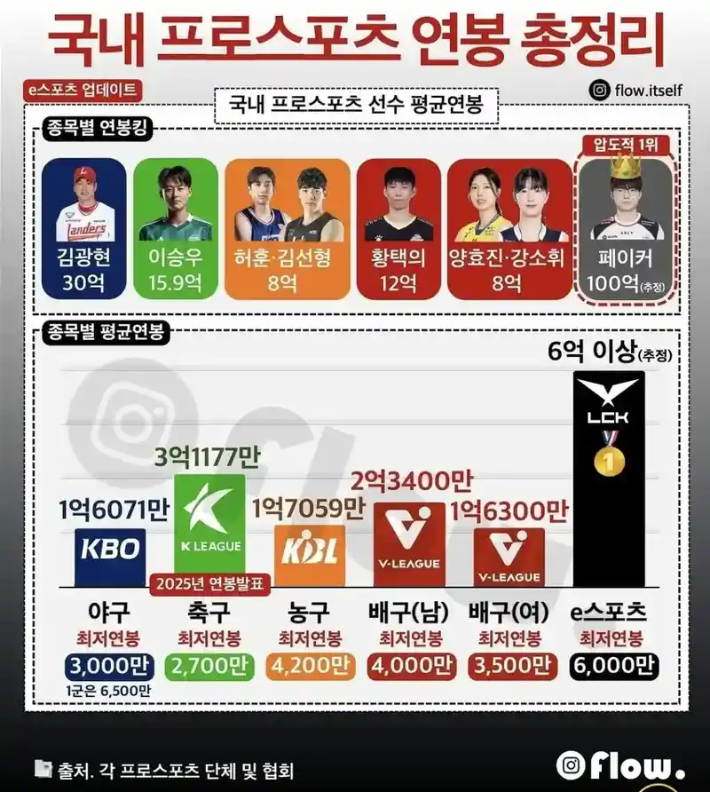 국내 프로 스포츠 연봉 총정리