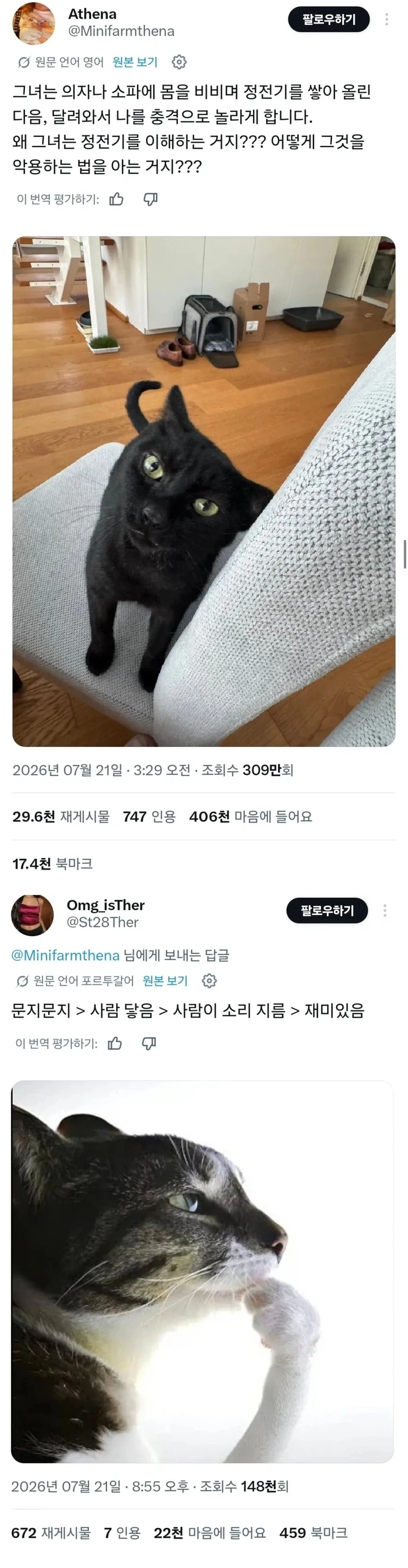 집사에게 전기 공격하는 고양이