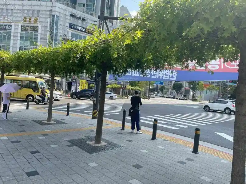 한국의 새로운 그늘막