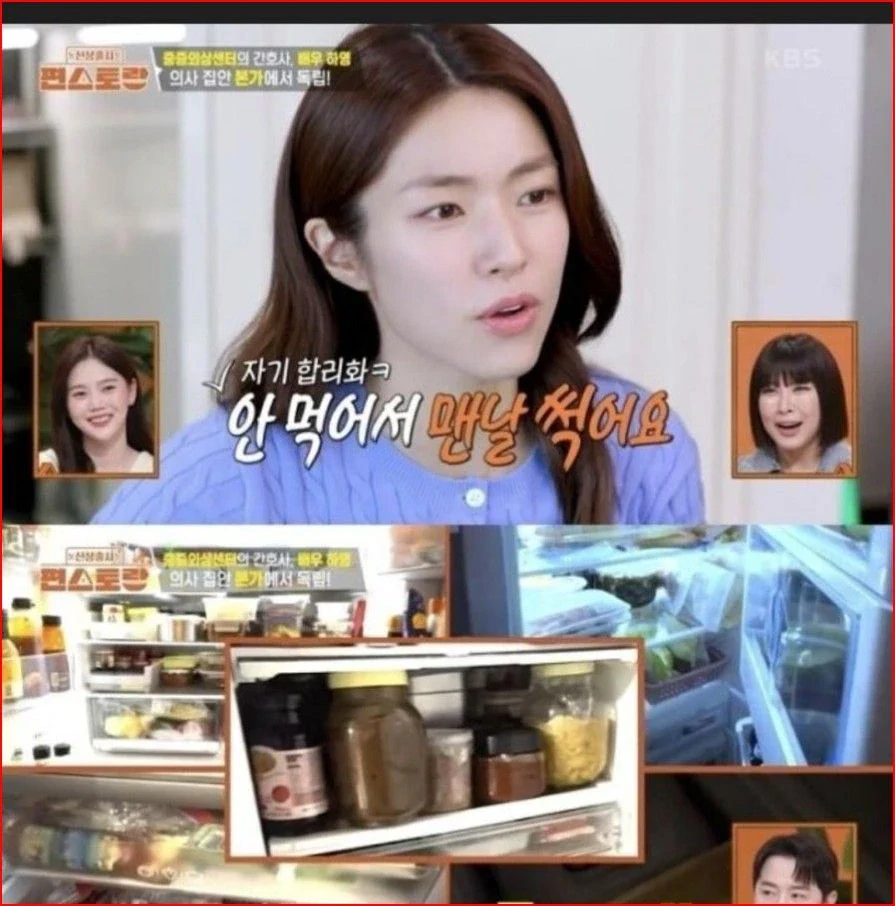 하영 ”냉장고 5대 음식 썩는다" 과거발언 재조명