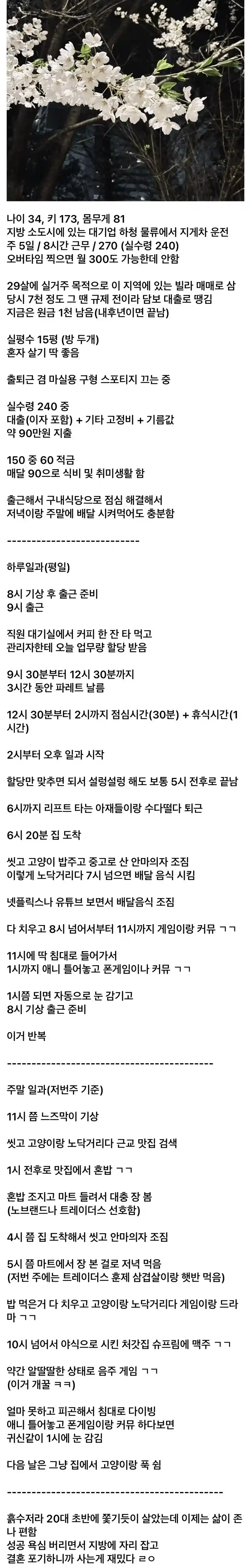 결혼 포기했다는 30대 어느 디시인의 삶