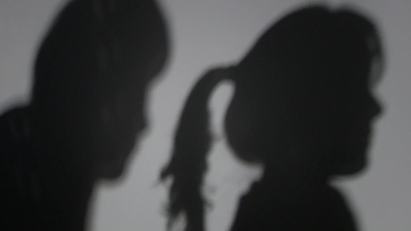 부모 없는 틈에 친여동생 성폭행…징역 5년에 항소
