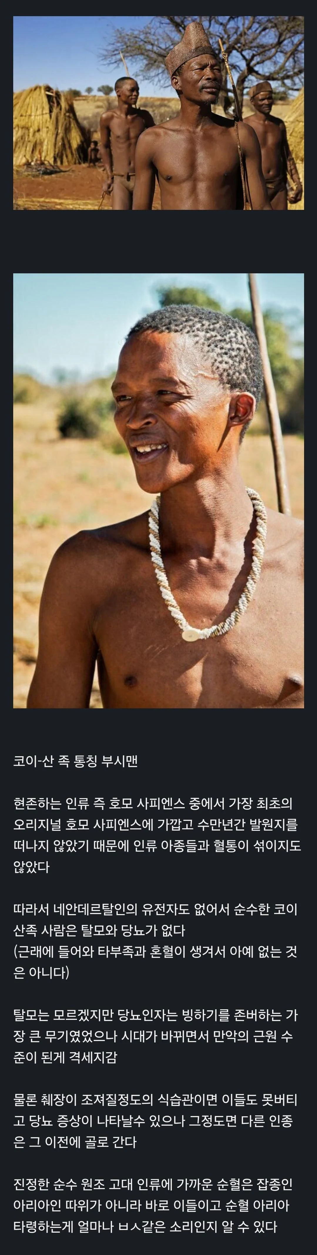 탈모와 당뇨가 없다는 순수혈통 인족