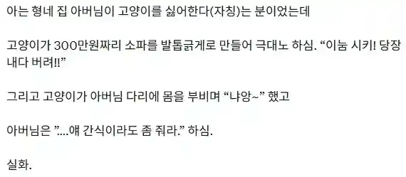 야옹 한마디로 300만원 빚을 갚는다