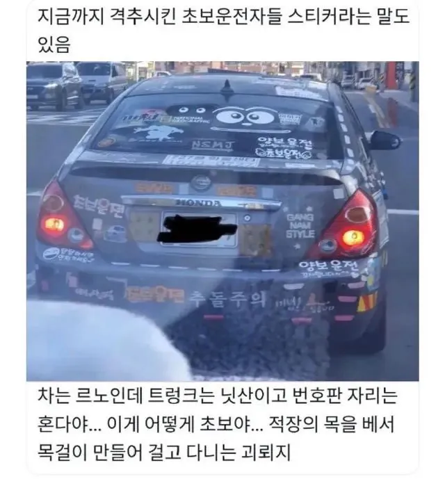 초보운전 레전드