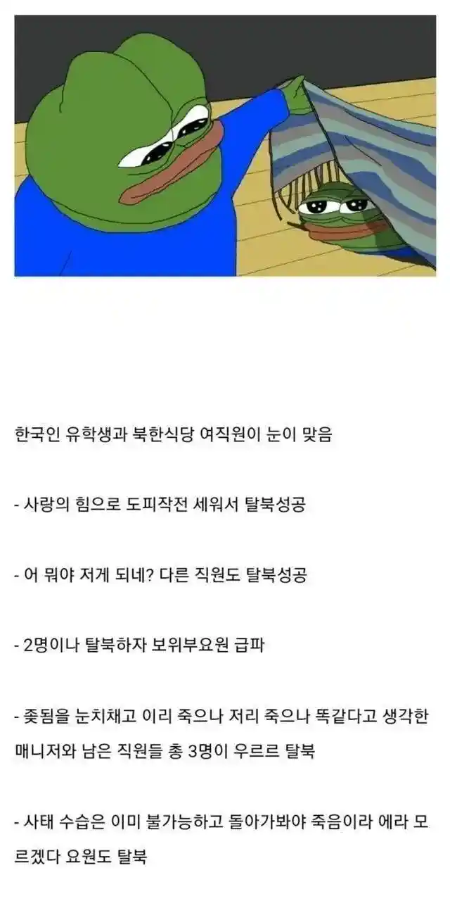 외국 북한식당 탈북 레전드 사건