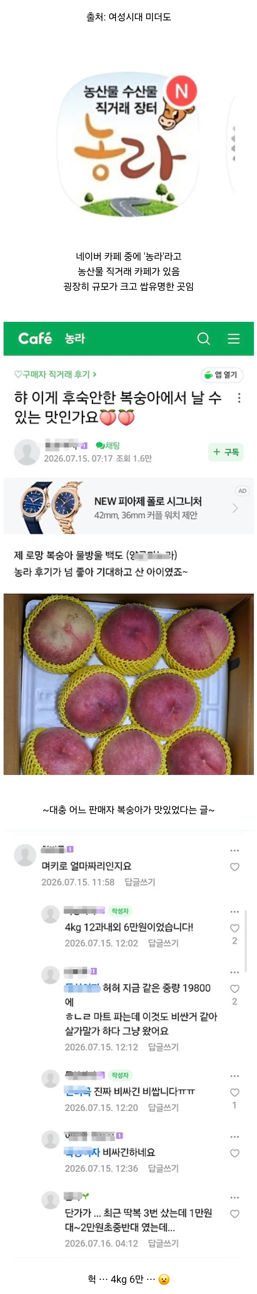 소비자 불만 나오는 중인 농라 카페 복숭아 가격ㄷㄷ