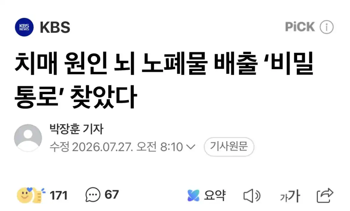 치매 원인 뇌 노폐물 배출 '비밀 통로' 찾았다