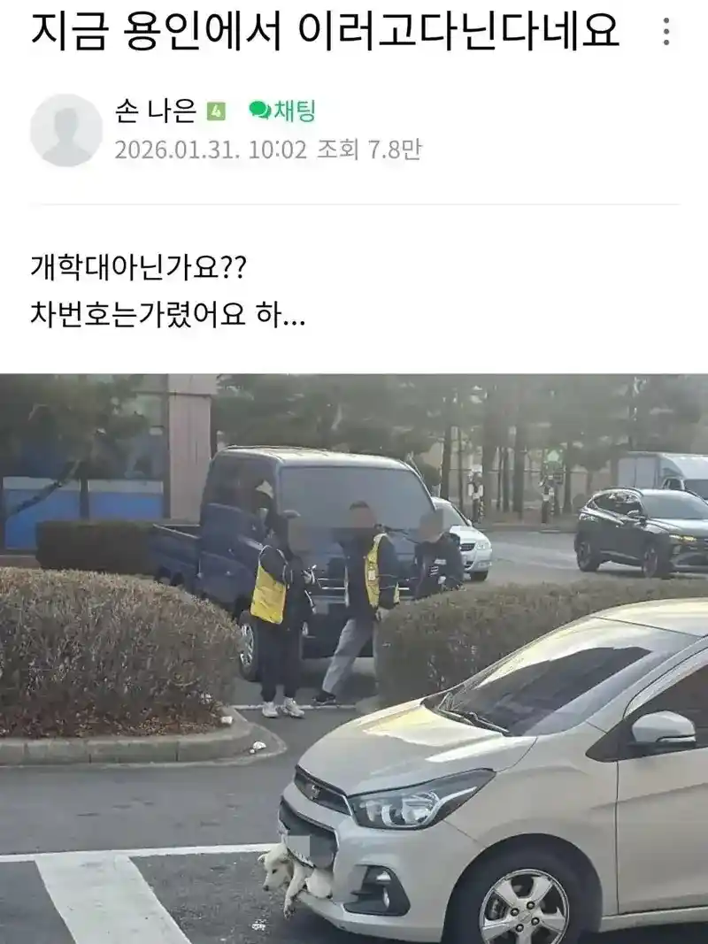 용인에서 스파크 앞범퍼에 강아지 끼인 채 주행