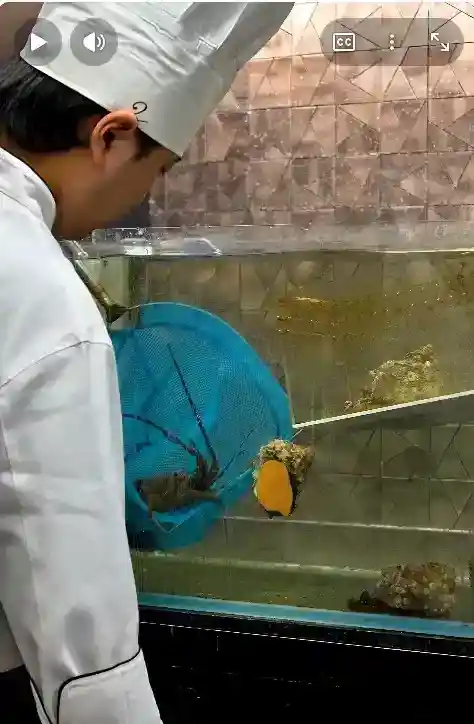 일본 33만원 철판 오마카세 영상 댓글 반응이 별로였던 이유