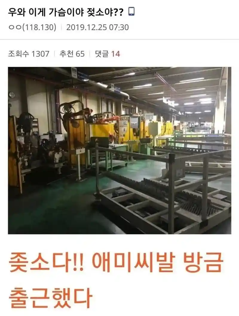 우와 이게 가슴이야 젖소야??