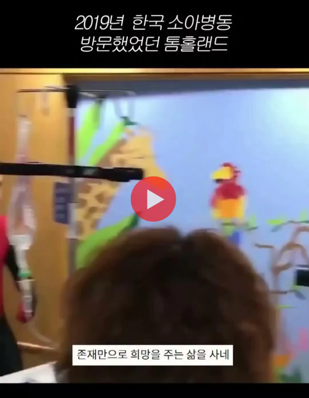 7년전 한국 소아병동 방문했었던 톰 홀랜드.gif