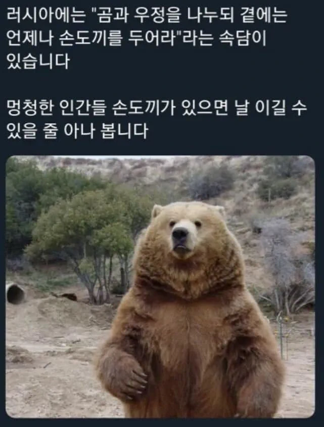 곰에 대한 러시아 속담 중 하나