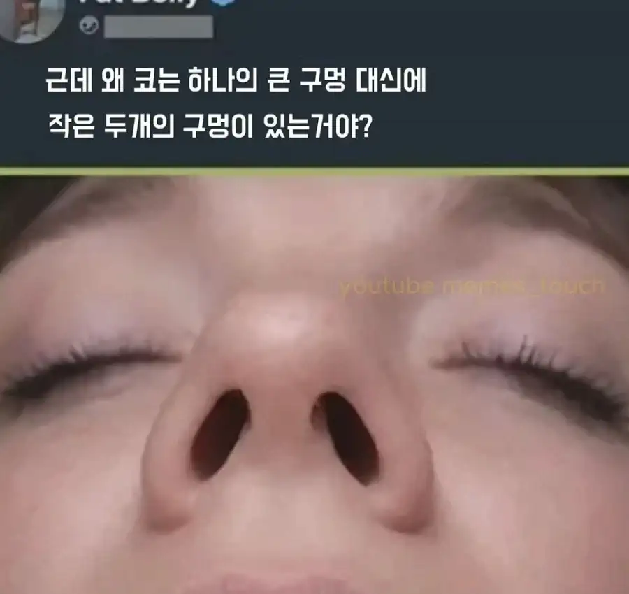 왜 코는 하나의 큰 구멍 대신에 작은 두개의 구멍이 있는거야?