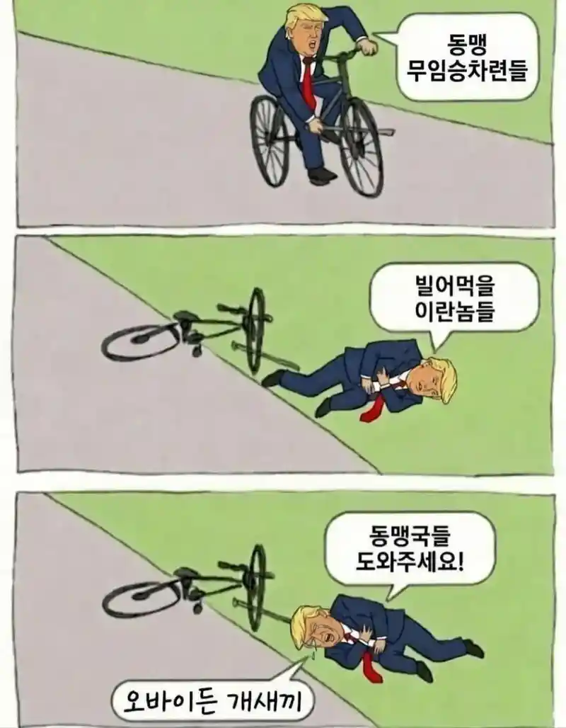 트럼프 지금 상황 요약