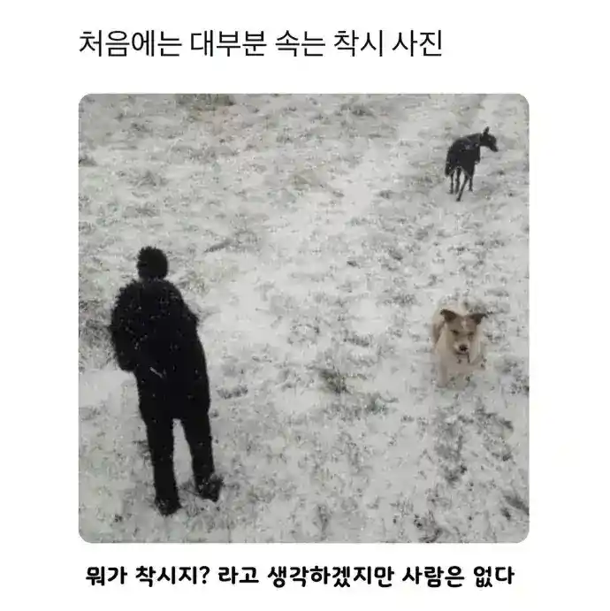 대부분 속는 착시 사진