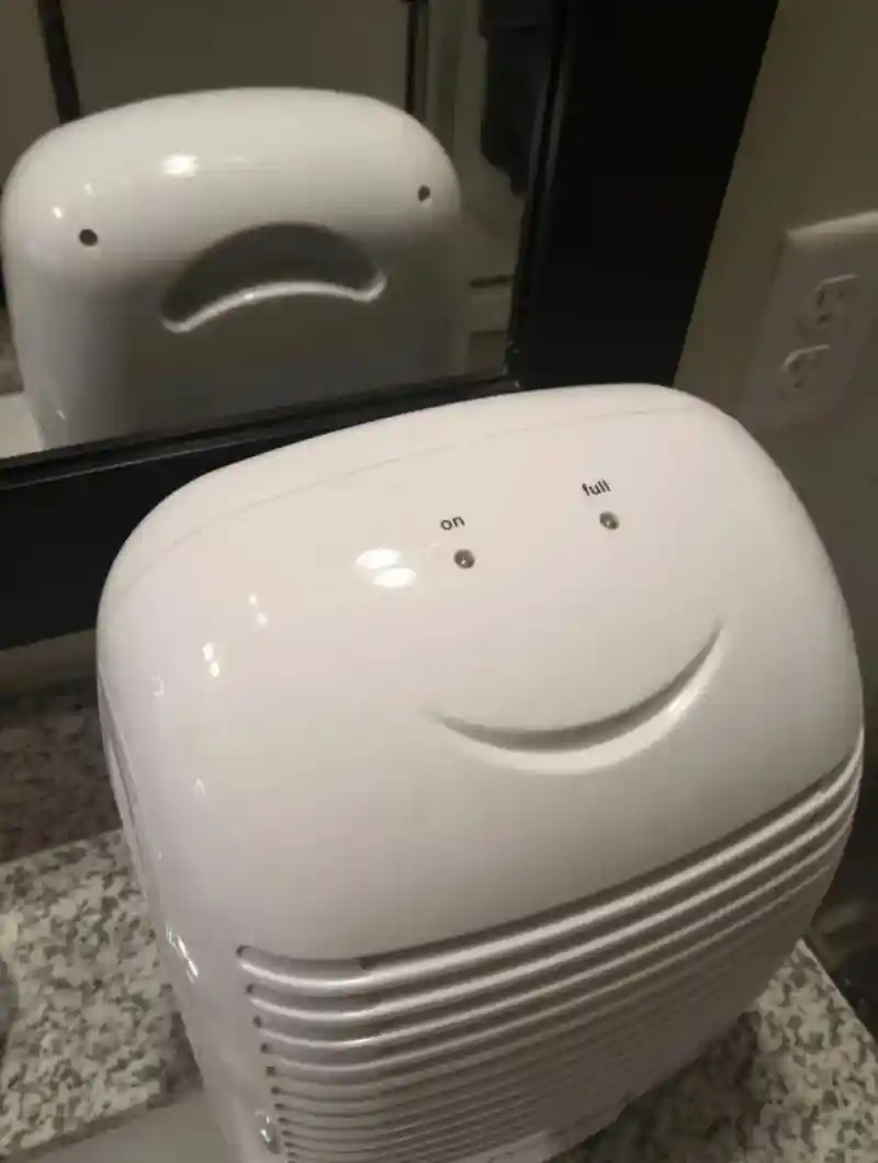 주인님 그 자는 가짜에요!!!